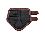 Stinchiere Teddy, anteriori