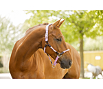 Capezza anatomica Sophistication