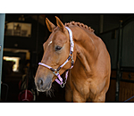 Capezza anatomica Sophistication