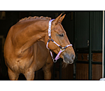 Capezza anatomica Sophistication