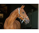 Capezza anatomica Sophistication