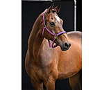 Capezza Swiss Design II