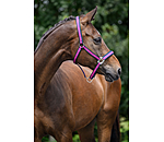 Capezza Swiss Design II