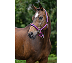 Capezza Swiss Design II