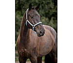 Capezza Swiss Design II