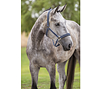 Capezza Swiss Design II