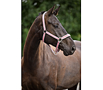 Capezza Essential II