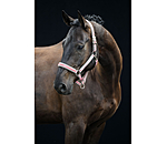 Capezza Essential II