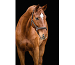 Capezza Essential II