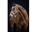 Capezza Essential II