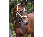 Capezza Essential II