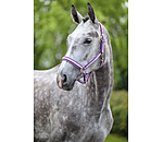 Capezza Essential II