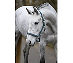 Capezza Twinkle