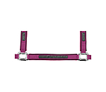 Capezza Mesh-Technology