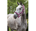 Capezza Mesh-Technology