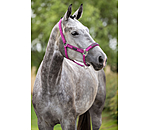 Capezza Mesh-Technology