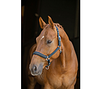 Capezza Twotone & Crystal