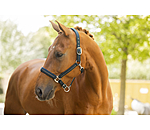 Capezza Twotone & Crystal