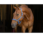 Capezza Twotone & Crystal