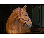 Capezza Twotone & Crystal