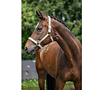 Capezza Signature III