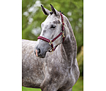 Capezza Signature III