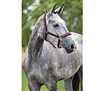 Capezza Signature III