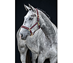 Capezza Signature III