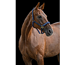 Capezza Signature III