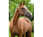 Capezza Super-Conveniente