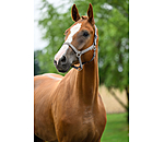 Capezza Super-Conveniente