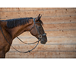 Mix & Match Sopracapo in cuoio oliato bitless