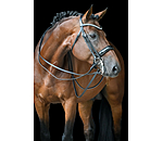 Testiera doppia Dressage II