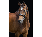 Testiera Alaska con chiudibocca rimovibile