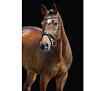 Testiera Alaska con chiudibocca rimovibile