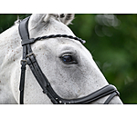 Frontalino Glamorous