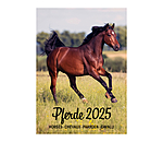 Calendario 2026