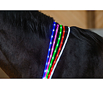 Collare per cavalli con LED