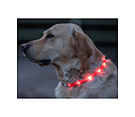 Collare per cani con LED