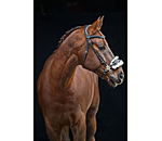 Hackamore con imbottitura in pelliccia