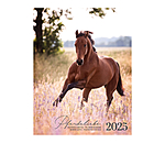 Calendario 2026 passione cavalli