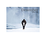 Calendario 2026 cavalli islandesi