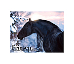 Calendario 2026 cavalli frisoni
