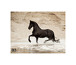 Calendario 2026 cavalli frisoni