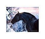 Calendario 2026 cavalli frisoni