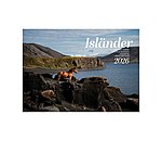 Calendario 2026 cavalli islandesi