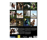 Calendario 2026 Special Moments