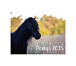 Calendario 2026  Pony