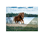 Calendario 2026  Pony