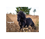 Calendario 2026  Pony